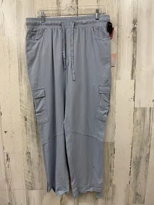 Blue Pants Cargo & Utility Clothes Mentor, Size 10