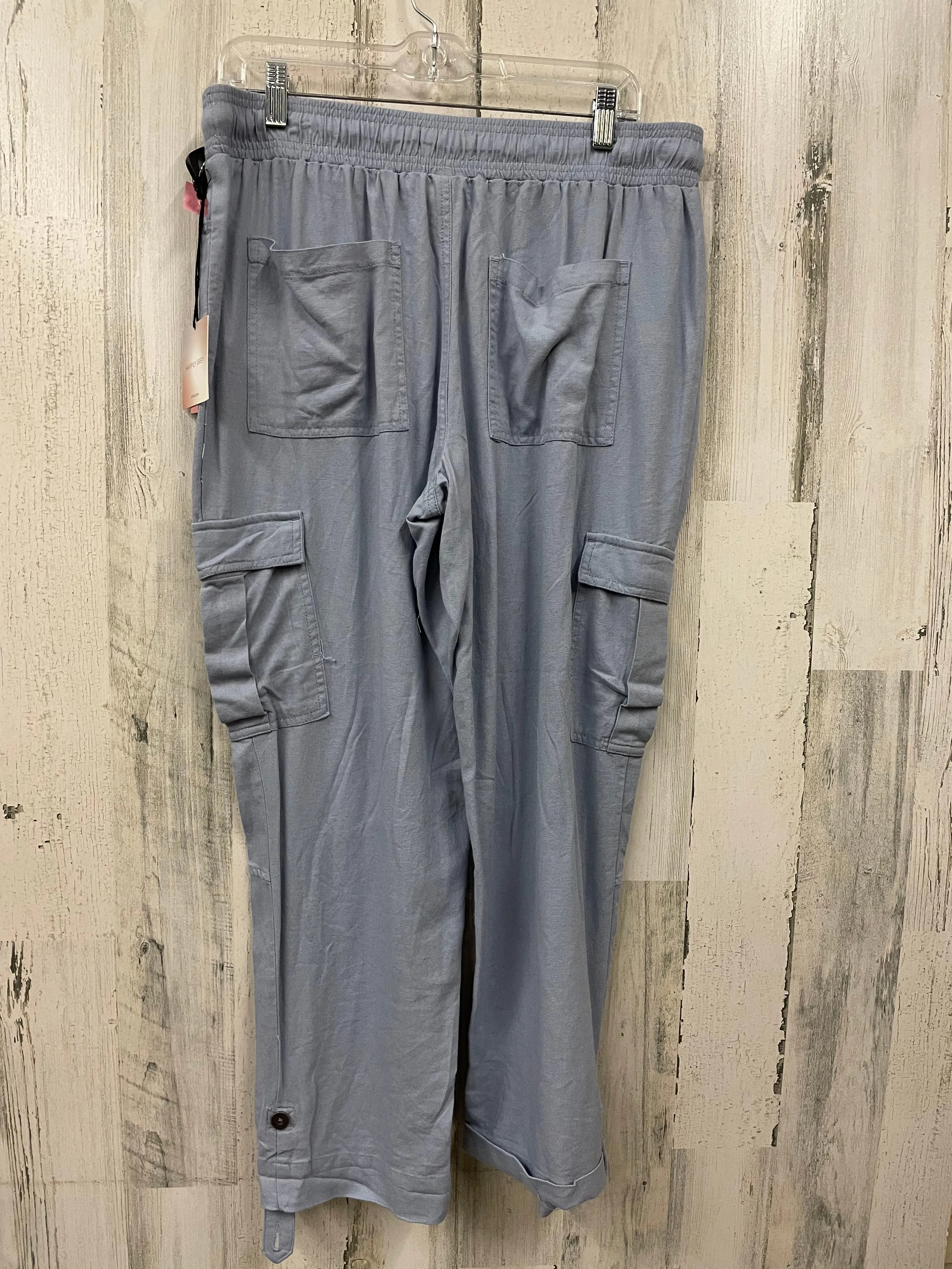 Blue Pants Cargo & Utility Clothes Mentor, Size 10